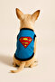 New Season Dog And Cat Outfit - Blue Superman