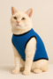 ملابس من الصوف للكلاب والقطط - مقاس M - أزرق سادة