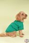 100% Organic Cotton Fabric Dog Clothing, Camping - 5