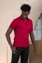 Knitted Polo Neck Regular Fit Cotton and Lycra T-Shirt - 2