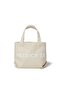 The Mini Canvas Tote