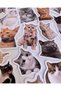 33Pcs Funny Cat Sticker Set Bullet Journal Agenda Phone Tablet Laptop Cats Sticker Decal - 2