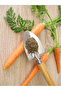 Carrot Seed Oil and Fig Seed Oil 2 X 20 ml - 100% Cold Pressed Pure - 4