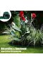 Garden Edging Border, Sturdy Plastic Landscape Edging Border, (9m x 15cm) - 5