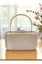 Skin Nude Color Glitter Satin Women's Evening Dress Bag - 2