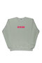 Lenithra Fullmetal Alchemist Brotherhood Alphonse Anime Back Printed Unisex Oversize Gray Sweatshirt - 3
