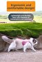 Dog Collar Chest Neck Harness Set with Leash, Sweat-Resistant, Breathable, Reflective Collar - 2