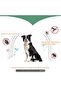 Flea Collar with Natural Ingredients, Bit Parasite Flea Collar, 63 Cm, Adult - 4