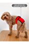 Red Dog Menstrual Panties, Female Dog Pee Diaper - 4