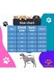 Adidogs الصيف الكلب القميص القط القميص - 3