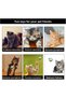 Pompom Cat Play Ball Toy Colorful Bitter Cat Accessories Cat Leash Scratching Board - 3