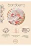 Baby and Child Sleep Set (Blanket, Bed Sheet, Pillowcase) 100% Cotton - 2