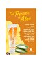 Aloe Sunscreen-Provides Spf 30 Protection Against Uva and Uvb Rays.-Sunscreen Cream - 2