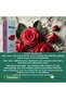 20 ml Rose Oil