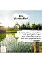 Rice Bran Oil 30 ml. 100% Pure - 5
