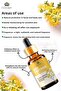 St. John's Wort 100% Natural Oil - Herbal Essential, 10ml - 2