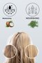 5-Piece Hair Care Oil Set Rosemary, Indian, Pumpkin Seed, Coconut, and Sweet Almond 50 ml - 2