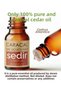 5ml 100% Pure Cedar Wood Oil Essential Oil Cedrus Atlantica Natural and Unadulterated - 2