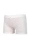 Girl's Cotton Colorful Lycra Boxer 3 Pack 6258 - 3