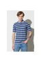 Regular Fit Normal Cut 100% Cotton Polo Neck Striped T-Shirt