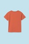Boys' T-Shirt & Shorts Set of 3 6669 - 3