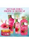 Coconut Hibiscus Body Wash 473 ml – Moisturizing & Refreshing Cleanser - 8