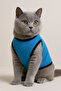 New Season Polar Dog And Cat Outfit - Size L - Plain Blue