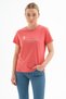 Printed 100% Cotton T-Shirt Pink - 2
