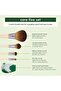 Core Five Makeup Brush and Sponge Kit, For Eyeshadow, Blush, Bronzer, Eyeliner, & Foundatio - 6
