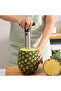 Kitchen Fruit Pineapple Corer and Slicer Stainless Steel Pineapple Cutter Manual Pineapple Peeler - 3