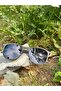 Transparent Smoked Matte Square Framed Brand Model Unisex Sunglasses - 2