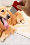 Bppet Cat Dog Flea Comb Pet Long Metal Comb Cat Dog Pet Hair Collection Lice Shampoo - 8