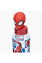 PAW Patrol Print Water Bottle with 3D Embossed Cap - 3