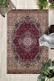 Non-Slip Base Washable Carpet – Modern Digital Printing Carpet for Kitchen, Living Room, Bedroom (Slnhali28
