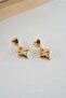 Women's Special Design Heart Figured Earrings