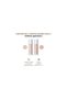 Absolute Bb Cream No. 21 (Natural Beige) - Spf 50 & Anti-Aging Care - 7