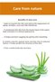 Moisturizing and Soothing Nourishing Aloe Vera Orange Hand Mask for Dry Skin - 6