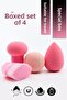 Set of 4 Multi-Purpose Boxed Sponges - 5
