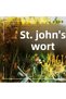 St. John's Wort Oil 40 ml (Soluble in Olive Oil with Polyphenols) - 4