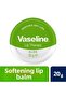 Lip Cream Lip Therapy Aloe Vera 20 gr