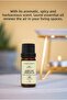 زيت ورق الغار العطري النقي 100% - 10 مل - 4