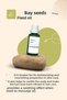Bay Seed Oil 30 ml - Natural Hair and Skin Care Oil - 2