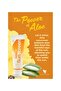 Forever Living Aloe Sunscreen