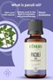 زيت الباتشولي العطري 100% طبيعي نقي 10 مل - 4