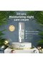 Anti-Aging Care Set - Day/Night Cream - Meso Serum - Oil Based Serum - Eye Cream - 4