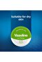 Lip Cream Lip Therapy Aloe Vera 20 gr - 5
