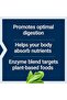 Enhanced Super Digestive Enzymes & Probiotics - 4
