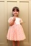 Powder Flower Patterned Tulle Skirt and Short Tulle Sleeve Baby Girl & Girl Dress - Flower - 5