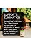 Total Colon Care Fiber Cleanse with Herbal Laxatives, Prebiotics, & Digestive Enzymes for - 8