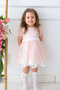 Baby Girl Dress Girls' Dress Birthday Party Wedding Dress Lace Short Sleeve Lined Dress